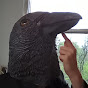 The Crow Formerly Known as Piper Sweeney - @TheCrowFKAPS YouTube Profile Photo