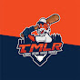 Tigers Minor League Report - @TigersMinorLeagueReport YouTube Profile Photo