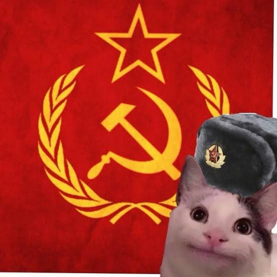 Котик с советским флагом