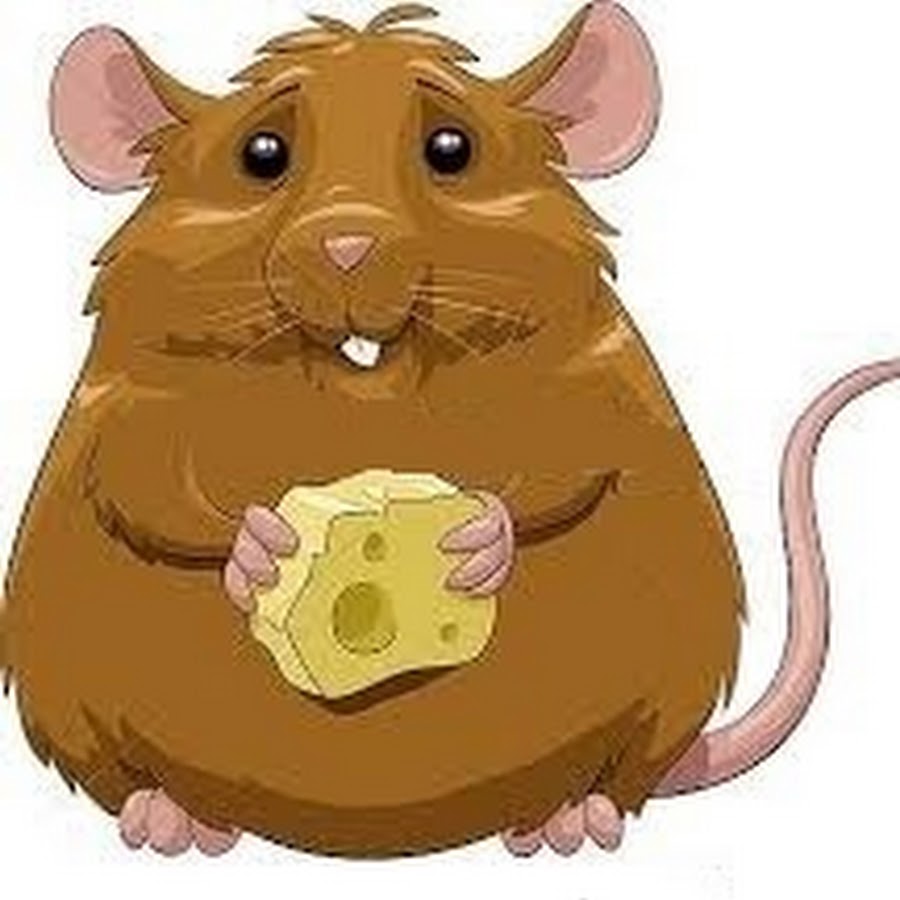 Мышь объелась сыра