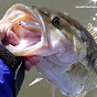 TTI-Blakemore Fishing Group Tips, Tricks and Products - @tti-blakemorefishinggroupt3786 YouTube Profile Photo