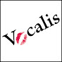Vocalis - @vocalis1521 YouTube Profile Photo