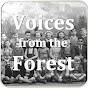 Voices from the Forest YouTube Profile Photo
