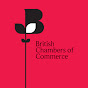 British Chambers of Commerce - @britishchambersofcommerce9266 YouTube Profile Photo