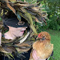 The Cluckdate - @thecluckdate3957 YouTube Profile Photo