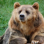 Big Bear Connected - @bigbearconnected8651 YouTube Profile Photo