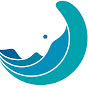 Hubbs-SeaWorld Research Institute - @hubbs-seaworldresearchinst9919 YouTube Profile Photo