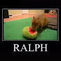 Ralph - @ralph9785 YouTube Profile Photo