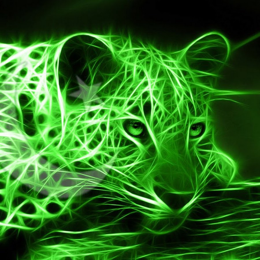 AMLnZu8R6Tc08sPyus94cMLXv3lptdJB7kTnRfRssJLB=s900ckc0x00ffffffnorj