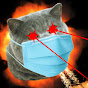 DOCU CAT YouTube Profile Photo