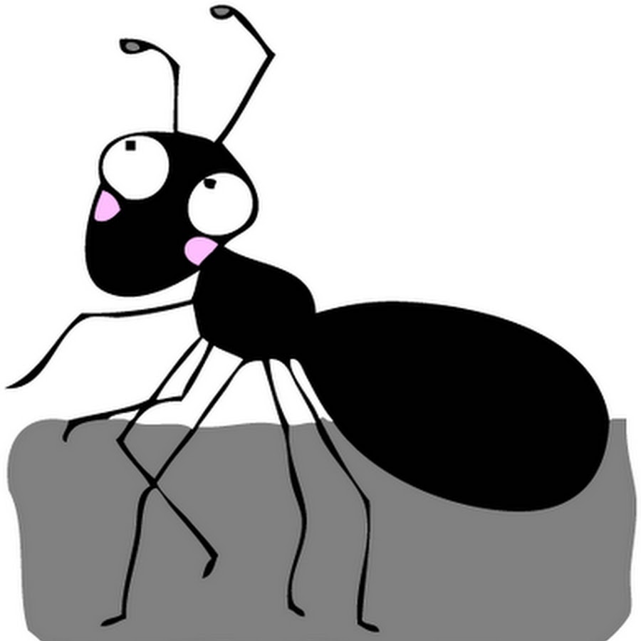 Мордашка муравья