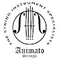 Animato Strings YouTube Profile Photo