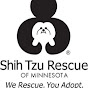 Shih Tzu Rescue of Minnesota YouTube Profile Photo