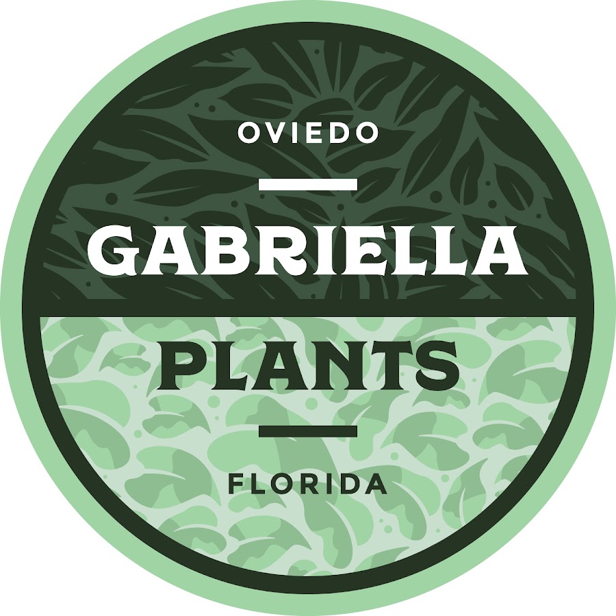 gabriella plants - youtube