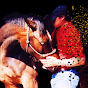 Art Of The Horseman YouTube Profile Photo