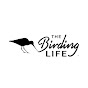 The Birding Life - @thebirdinglife6329 YouTube Profile Photo