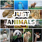 Just Animals Podcast YouTube Profile Photo