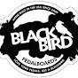 Blackbird Pedalboards - @BlackbirdPedalboards YouTube Profile Photo