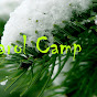 Carol Camp - @carolcamp9913 YouTube Profile Photo