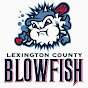 Blowfish Baseball - @blowfishbaseball3819 YouTube Profile Photo