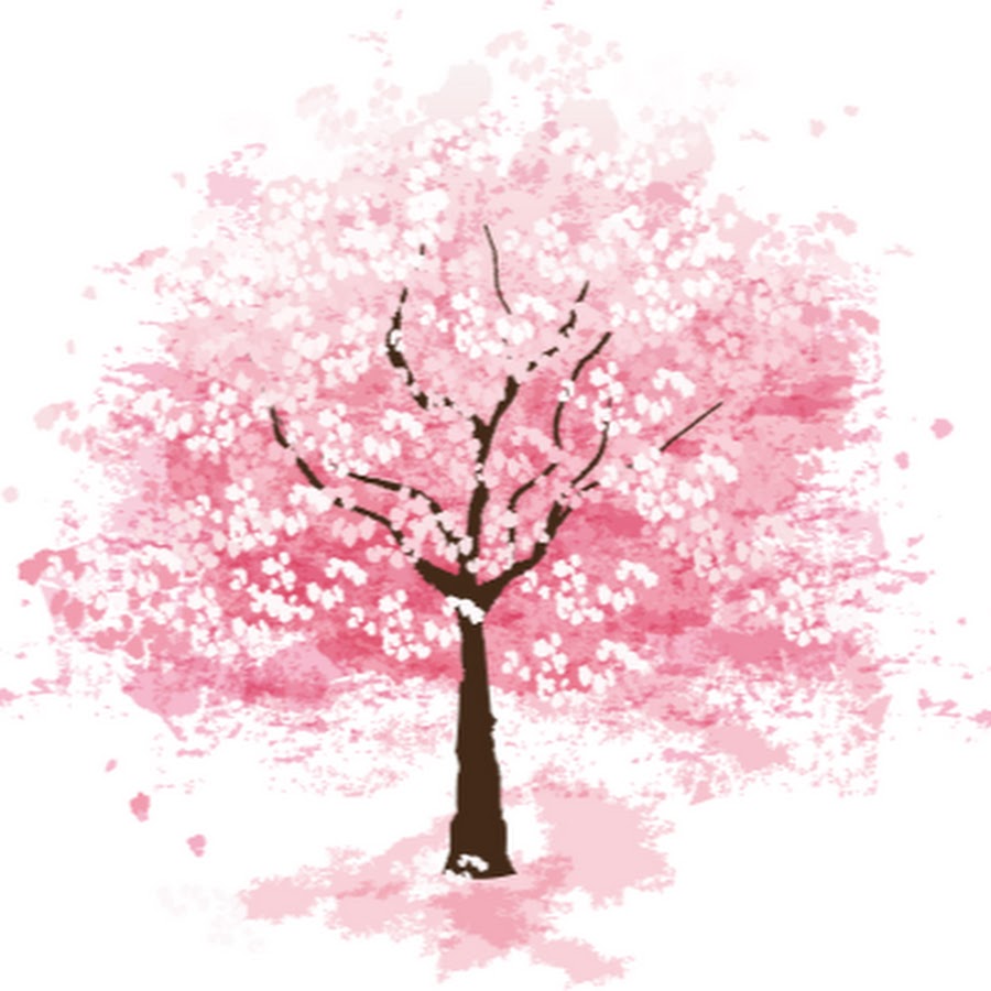 Дерево Сакура на белом фоне