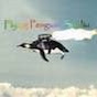 FlyingPenguinStudio - @FlyingPenguinStudio YouTube Profile Photo