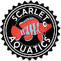 Heather Nielsen - Scarlet Aquatics - @HeatherNielsenScarletAquatics YouTube Profile Photo