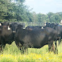 Rutherford Land and Cattle Llc - @GlobalHeartInt YouTube Profile Photo