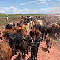 Painted Desert Ranch YouTube Profile Photo