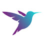 The Hummingbird Project YouTube Profile Photo