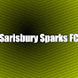 Sarisbury Sparks FC - @sarisburysparksfc3936 YouTube Profile Photo