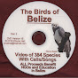 BelizeBirds - @BelizeBirds YouTube Profile Photo