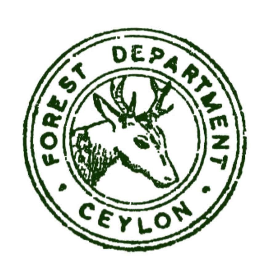 Forest Department Details