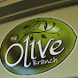 Angela Castro- The Olive Branch - @angelacastro-theolivebranch YouTube Profile Photo