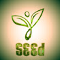 SEED FORWARD - @LifeChurchLou YouTube Profile Photo