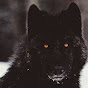 Wayne The Wolf - @WayneTheWolf YouTube Profile Photo