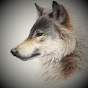 Keith wolf YouTube Profile Photo