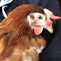 Lucky Hens Rescue - @luckyhensrescue145 YouTube Profile Photo