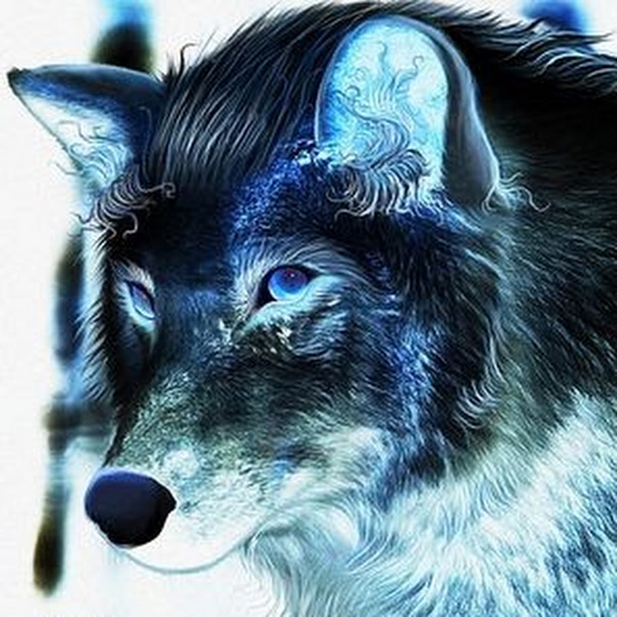 Девушка и волк с голубыми глазами