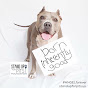 STAND UP FOR PITS FOUNDATION YouTube Profile Photo
