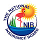 The National Insurance Board - @thenationalinsuranceboard8797 YouTube Profile Photo