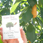Corn Dog Seeds - @corndogseeds1445 YouTube Profile Photo