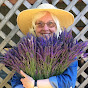 Susan Harrington - Growing Lavender - @LABYRINTHHILL YouTube Profile Photo