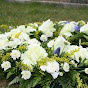 Webb Funeral Home - @webbfuneralhome1777 YouTube Profile Photo