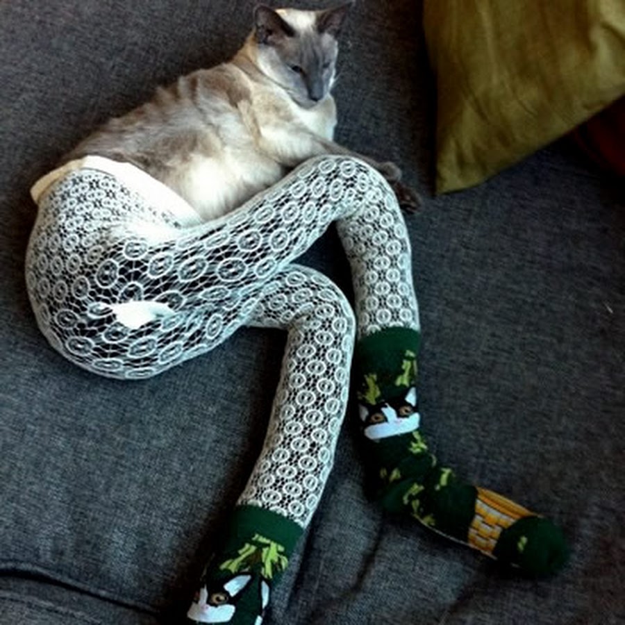 Носочки для кошек