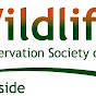 wildlifebayside - @wildlifebayside YouTube Profile Photo