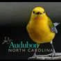 audubonnc - @audubonnc YouTube Profile Photo
