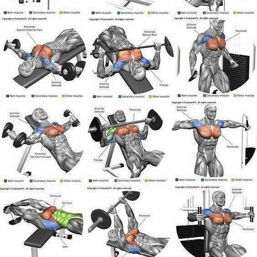 Качаем грудные мышцы в тренажерном зале для мужчин на рельеф с картинками