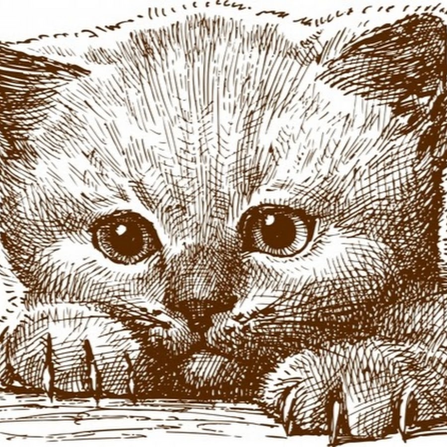 Котенок графический рисунок
