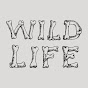 Wildlife Records - @wildliferecords9603 YouTube Profile Photo